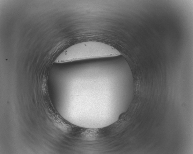 X0000077410138200610201432