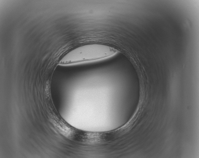 X0000077410144200610201432