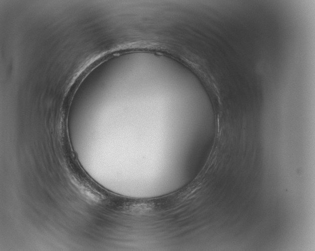 X0000077410156200610201431