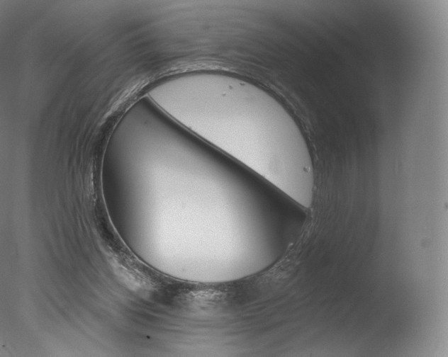 X0000077410158200610201431