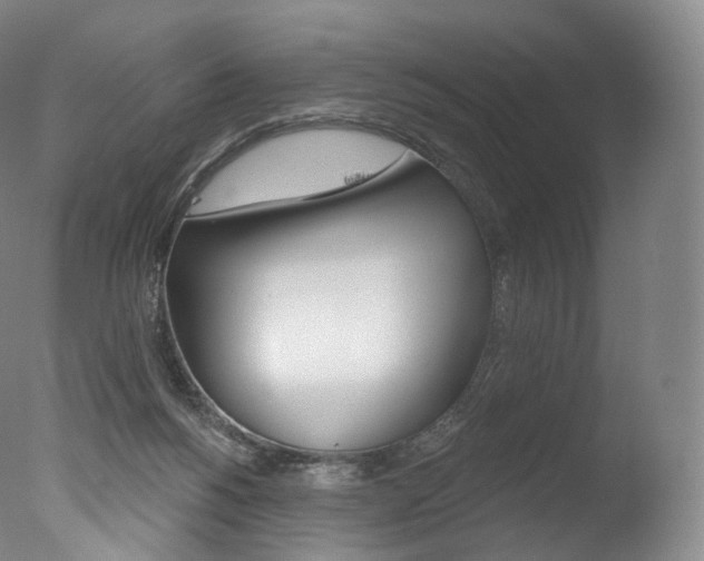 X0000077410168200610201431