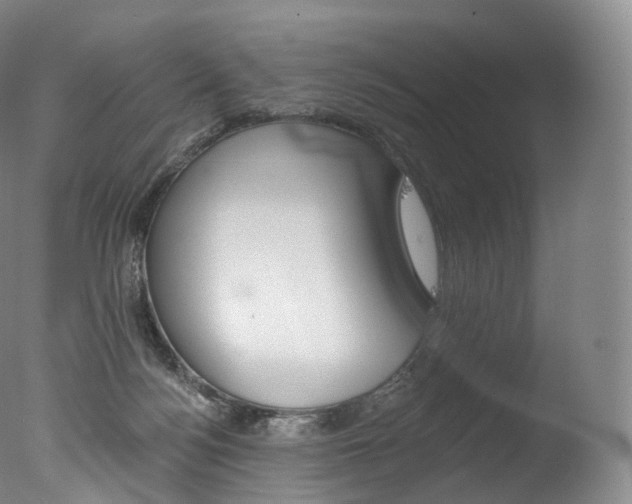 X0000077410172200610201431