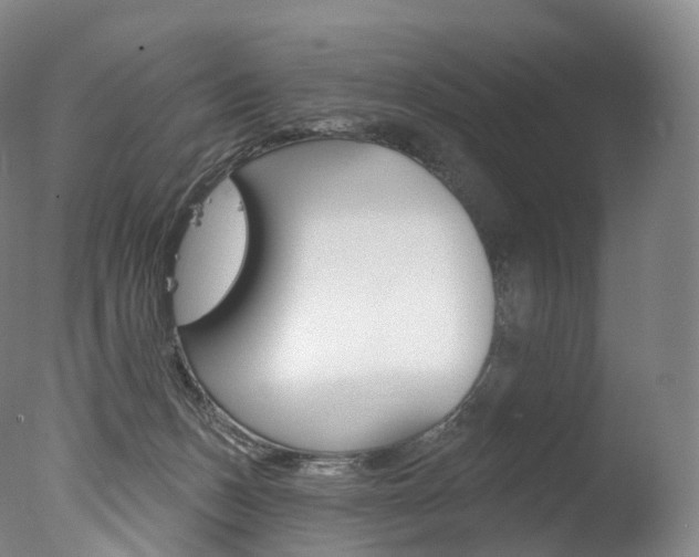 X0000077410175200610201431