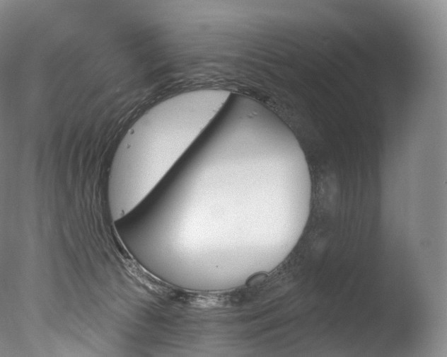 X0000077410177200610201431