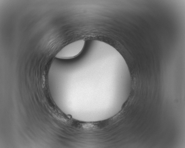 X0000077410183200610201431