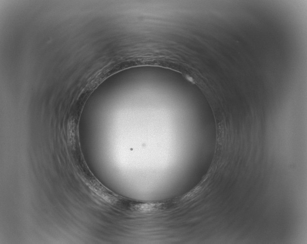 X0000077410184200610201431