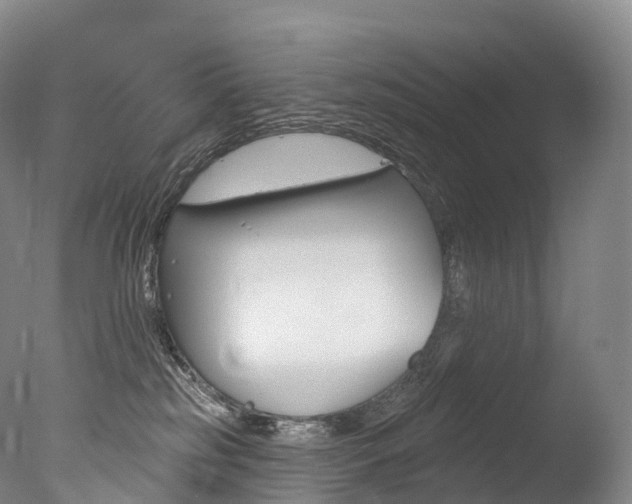 X0000077410185200610201431