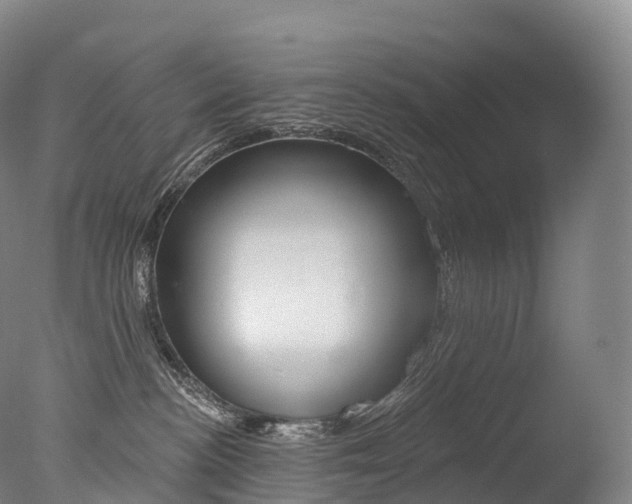 X0000077410188200610201431
