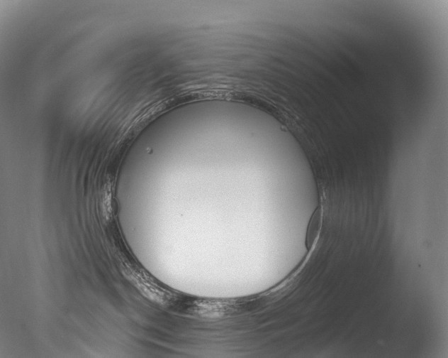 X0000077410190200610201432