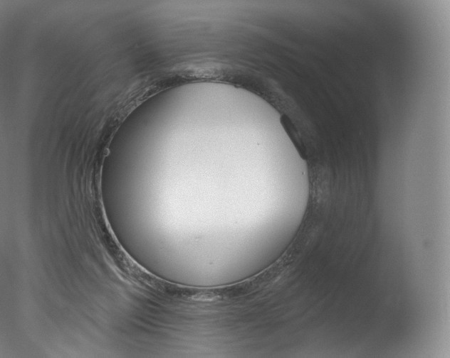 X0000077410213200610201430