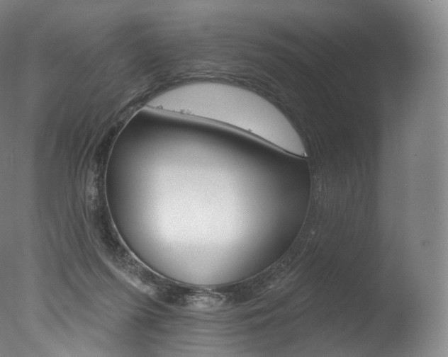 X0000077410215200610201430