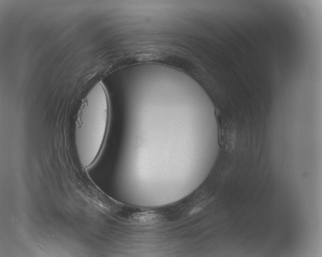 X0000077410219200610201430
