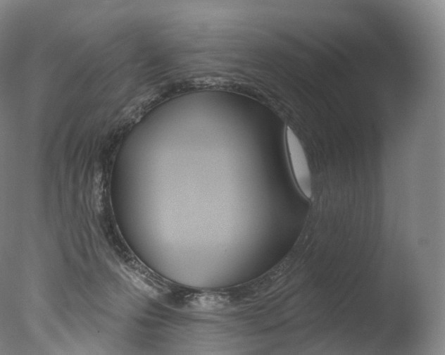 X0000077410223200610201430