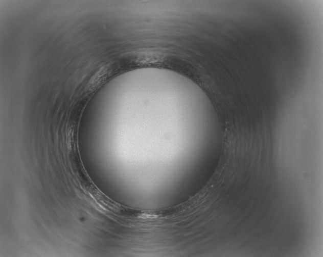 X0000077410227200610201430