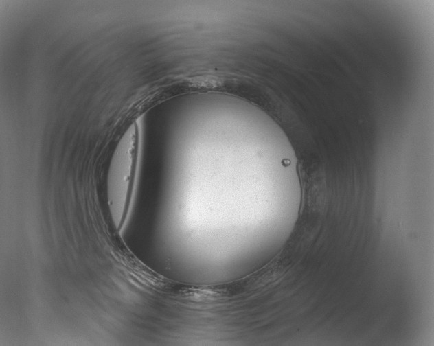 X0000077410229200610201430