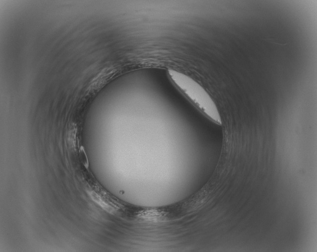 X0000077410231200610201430