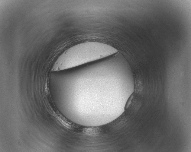X0000077410238200610201430