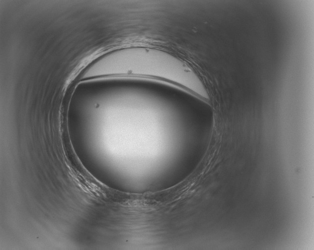 X0000077410244200610201429