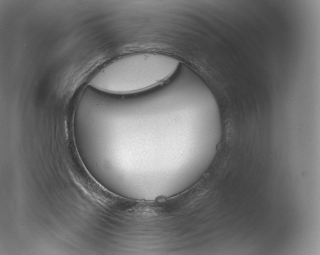 X0000077410254200610201429