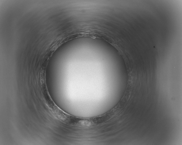 X0000077410272200610201430