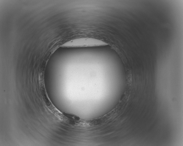 X0000077410276200610201430