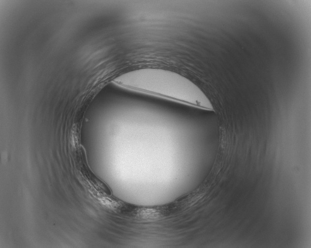 X0000077410287200610201430