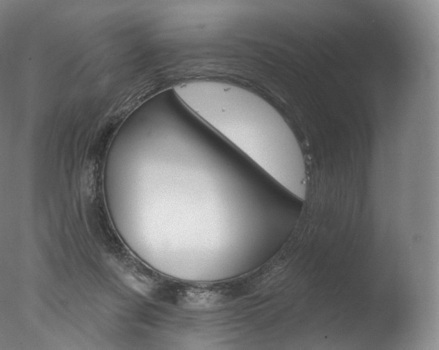 X0000077410311200610201429
