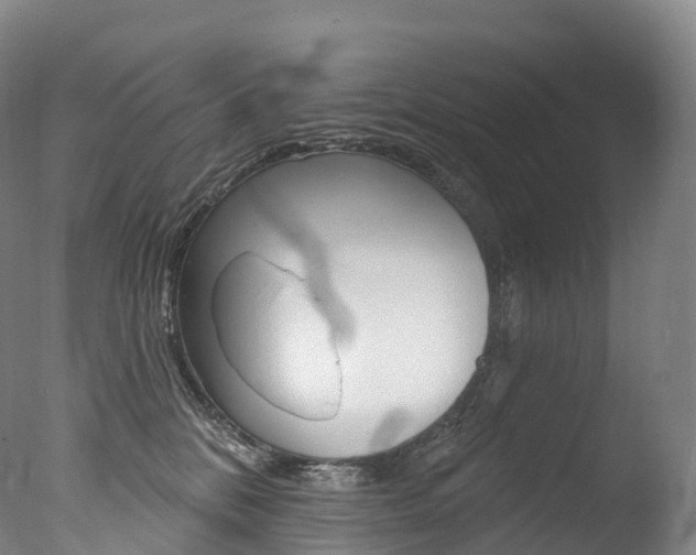 X0000077410328200610201428