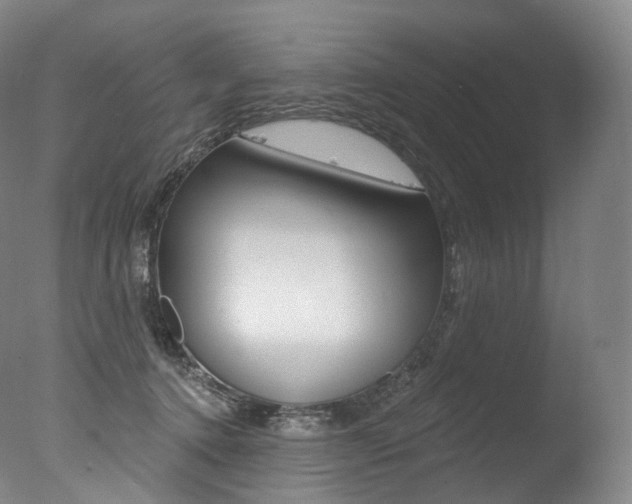 X0000077410368200610201428
