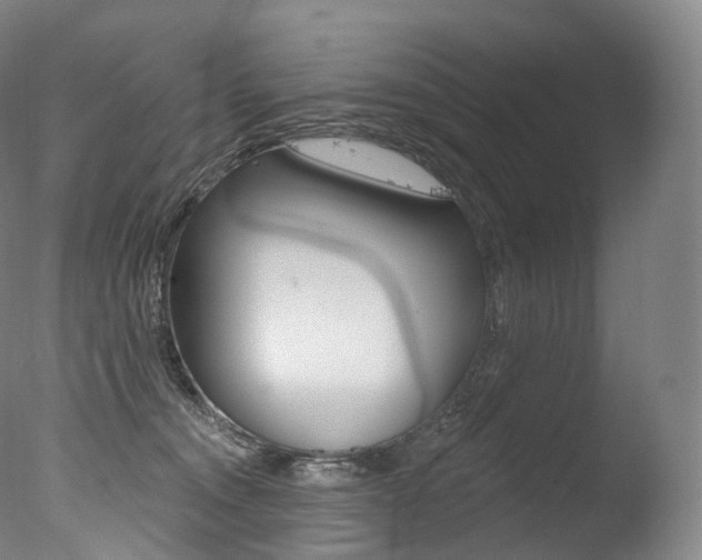 X0000077410372200610201428