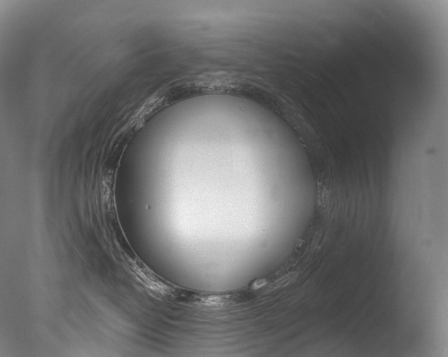 X0000077410382200610201428