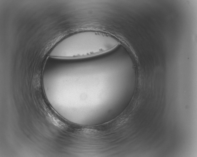 X0000077410393200610201427