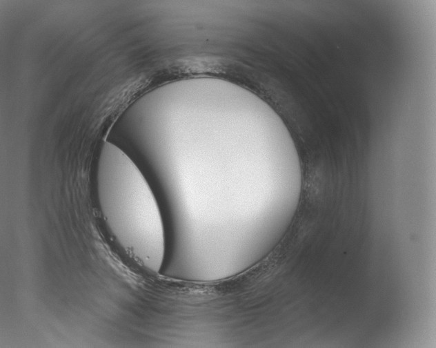 X0000077410402200610201427