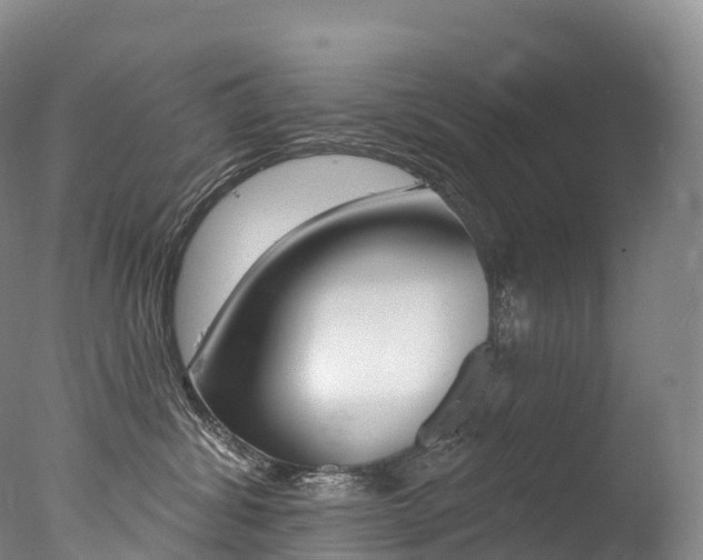 X0000077410428200610201427