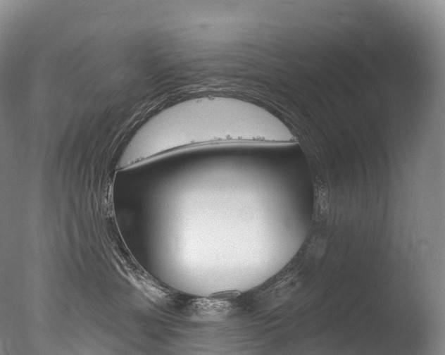 X0000077410429200610201427