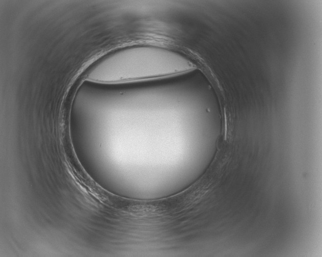X0000077410435200610201426