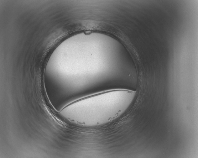 X0000077410442200610201426