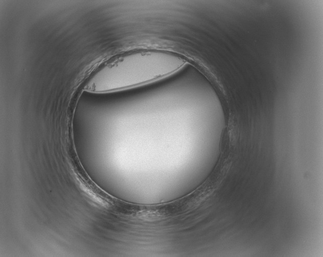 X0000077410445200610201426