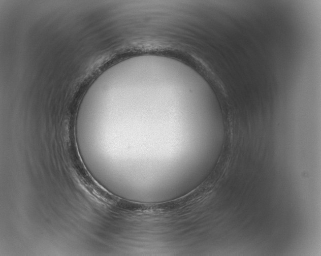 X0000077410447200610201426