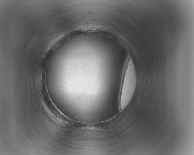 X0000077410448200610201426