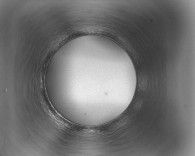 X0000077410453200610201426