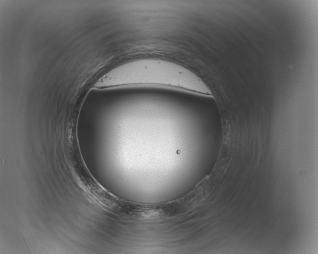 X0000077410456200610201426