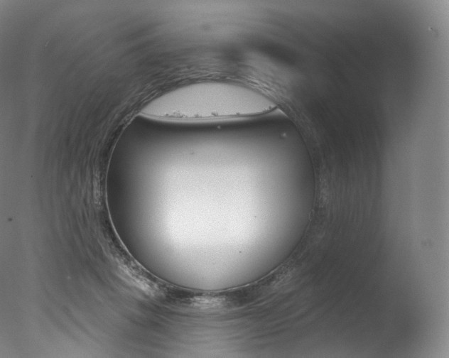 X0000077410457200610201426