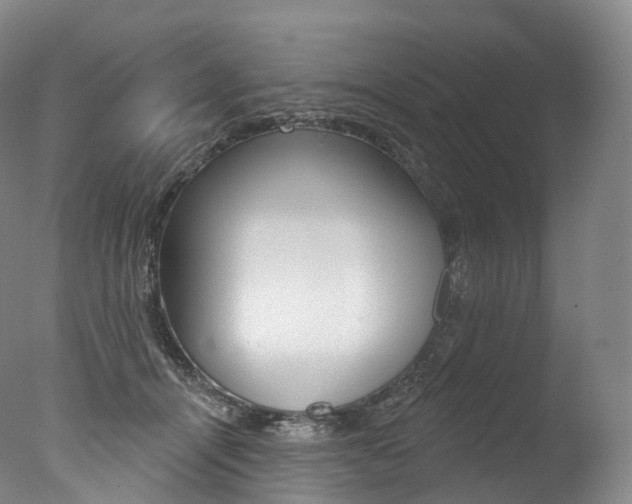X0000077410464200610201426