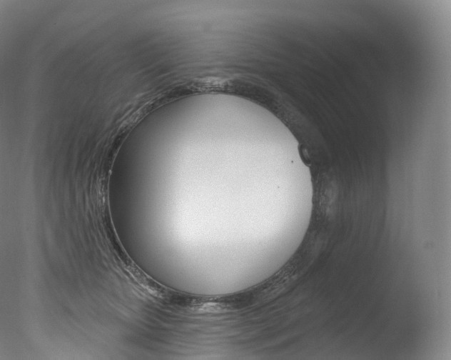 X0000077410467200610201426