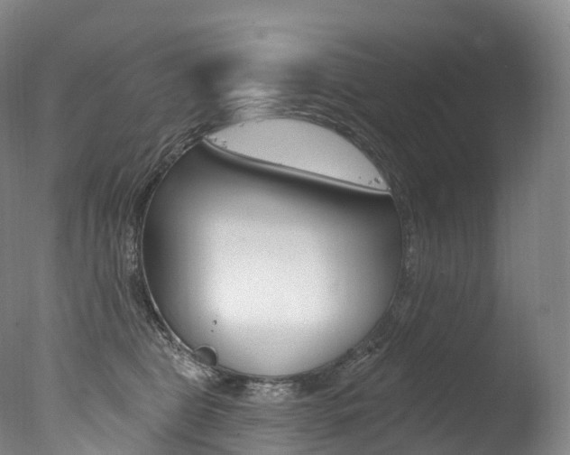 X0000077410469200610201426