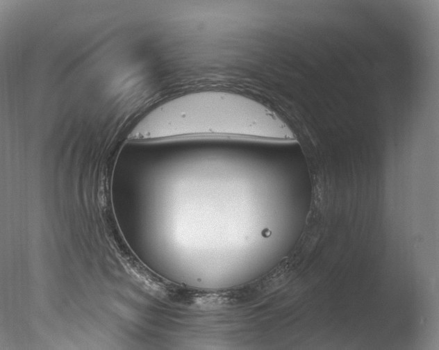 X0000077410470200610201426