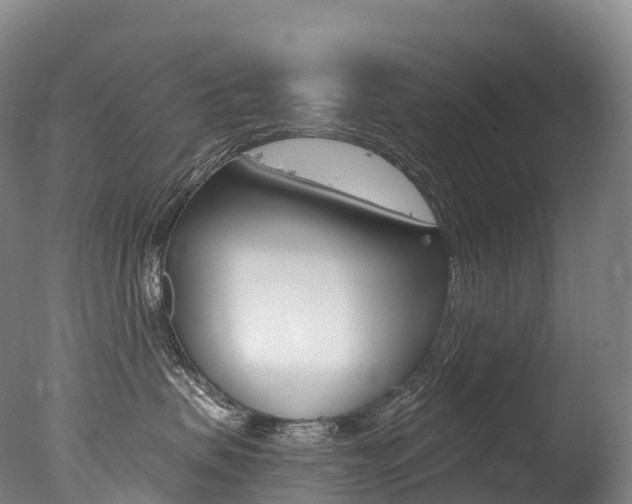 X0000077410479200610201427