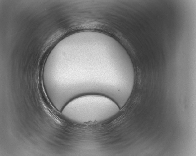 X0000077410486200610201426