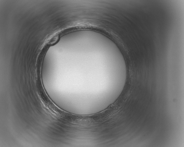 X0000077410488200610201426